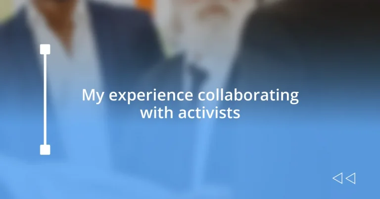 My experience collaborating with activists